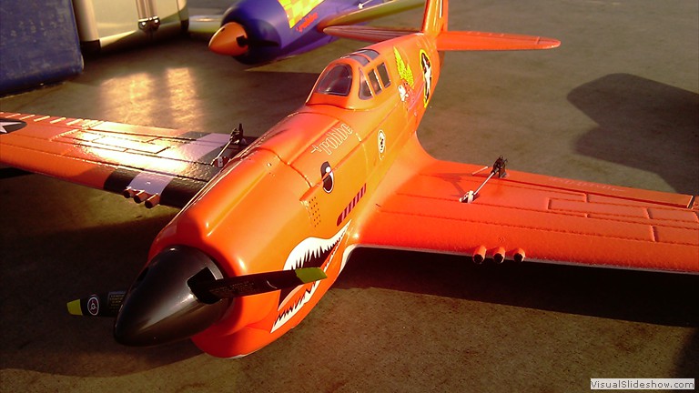 Robbe Nano-Racer P-40 Warhawk