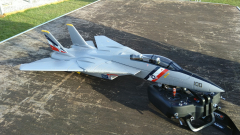 Grumman F14 Tomcat (76cm, E-Flite)